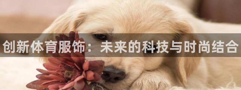 欧亿体育官方正版app娱乐是那个系列的台子：创新体育