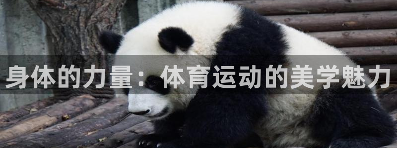 oety欧亿体育官网下载：身体的力量：体育运动的美学