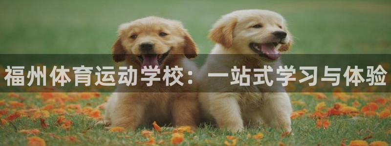 欧亿体育官方正版app新能源：福州体育运动学校：一站