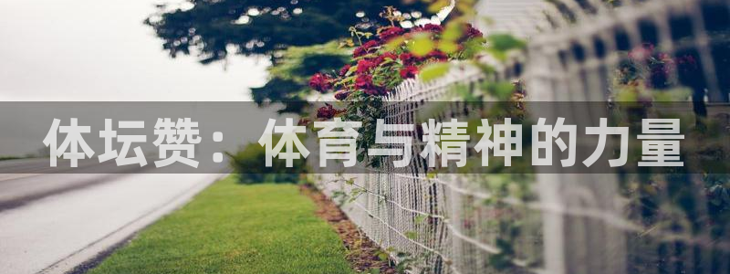 oety欧亿体育官网下载平台是正规平台吗安全吗：体坛