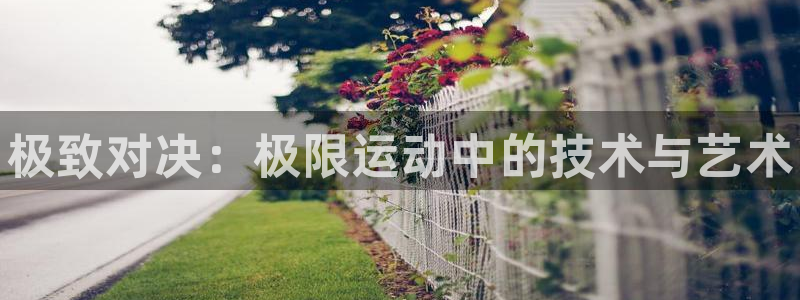 oety欧亿体育官网下载联系电话：极致对决：极限运动