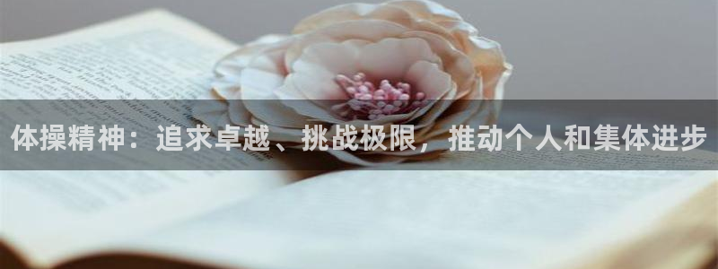 oety欧亿体育官网下载平台注册要钱吗安全吗：体操精