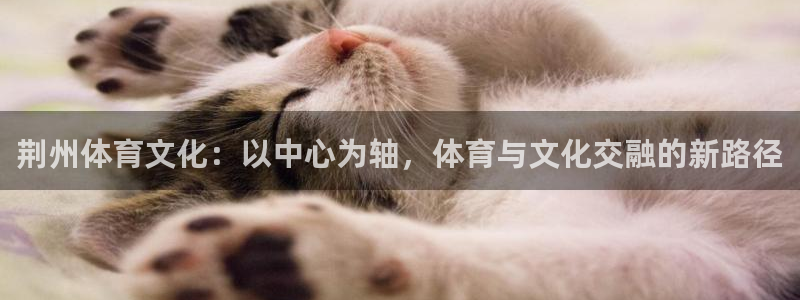 oety欧亿体育官网下载招商电话是多少：荆州体育文化：以中心