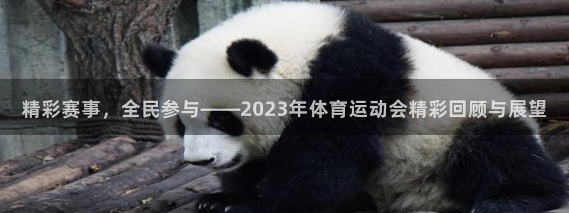 欧亿体育官方正版app娱乐平台：精彩赛事，全民参与—