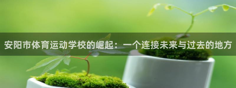 欧亿体育官方正版app娱乐40996：安阳市体育运动学校的崛