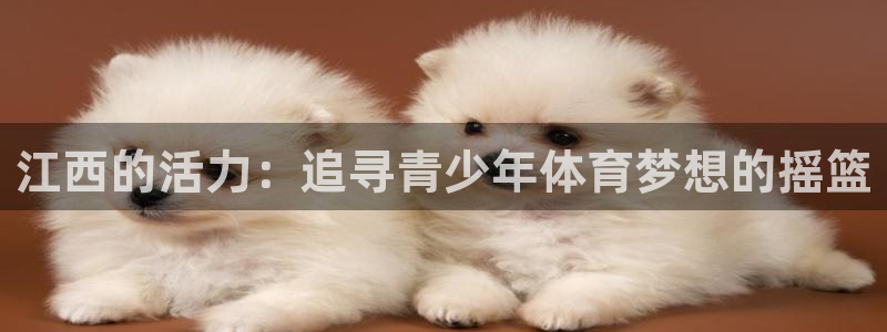 oe欧亿官方网站：江西的活力：追寻青