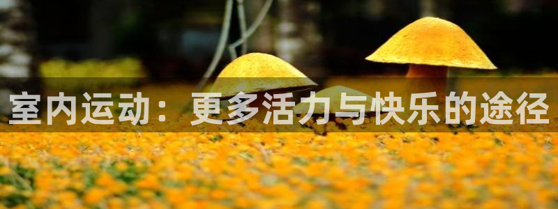 oe欧亿登陆：室内运动：更多活力与快