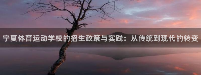 oe欧亿oer：宁夏体育运动学校的招