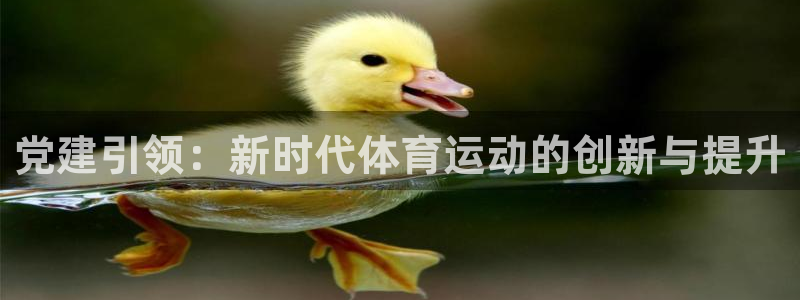 欧亿注册网址：党建引领：新时代体育运