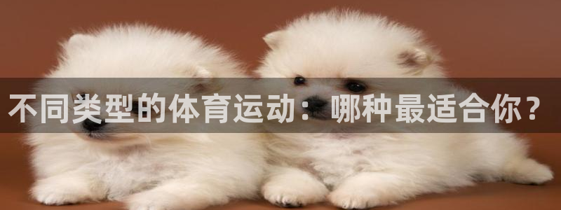 欧亿集团有限公司：不同类型的体育运动